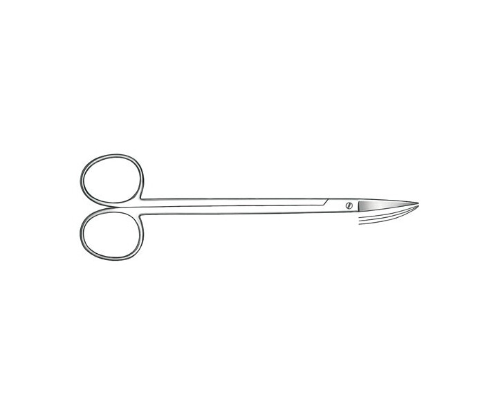 Carl Martin, Chirurgie
