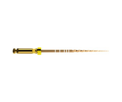 ProTaper Gold Feilen