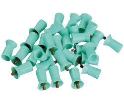 Prophy Cups