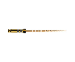 ProTaper Gold Feilen