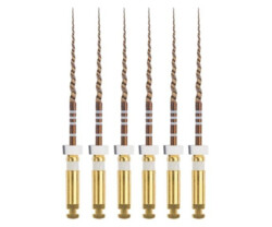 ProTaper Gold Shaping steril