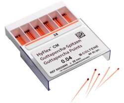 Hyflex CM Endo Übungsblock